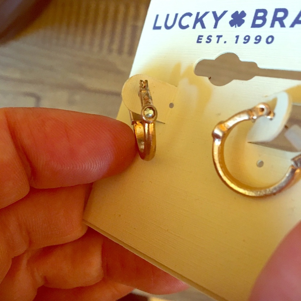 Earrings